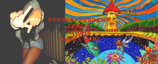 ПСИЛОЦИБИНОВЫЕ ГРИБЫ Алексин