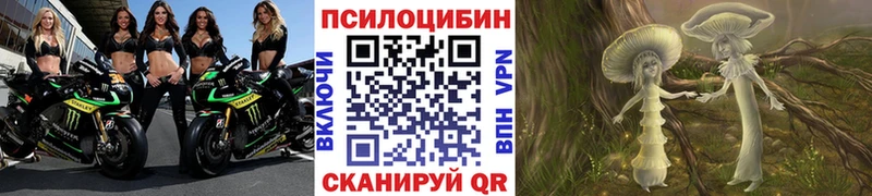 Псилоцибиновые грибы Psilocybine cubensis  darknet Telegram  Сосновый Бор  где продают наркотики 
